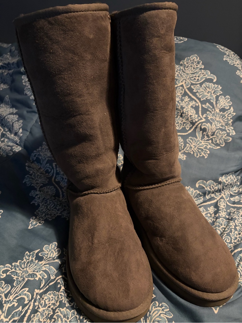 UGG Women's Tall Suede Winter Boots in Chocolate Brown
